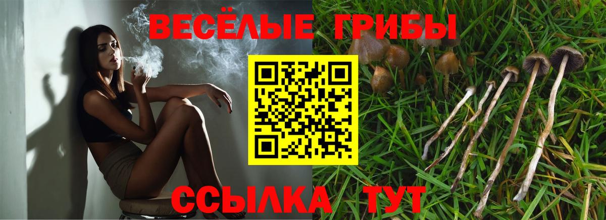 Галлюциногенные грибы ЛСД Волжск